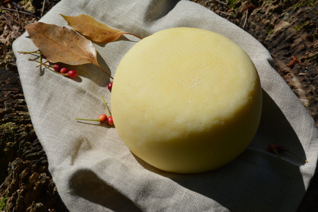 やさしい（軽め）