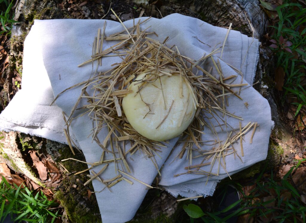 有機栽培の稲わらから生まれた藁のカチョッティーナ