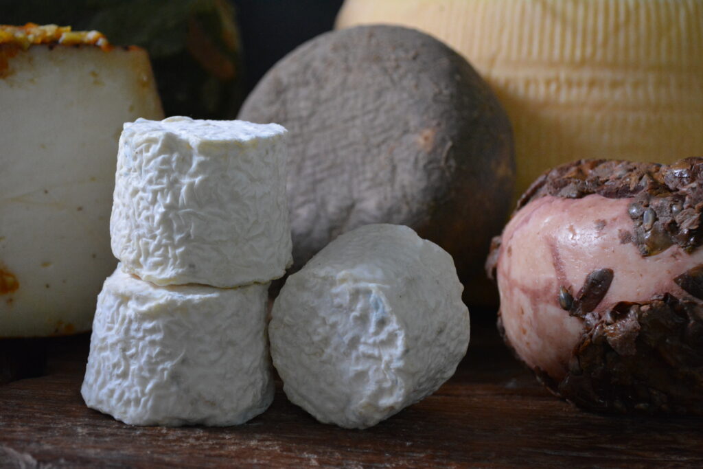 嘉麻市のチーズ工房Cacioの熟成チーズ