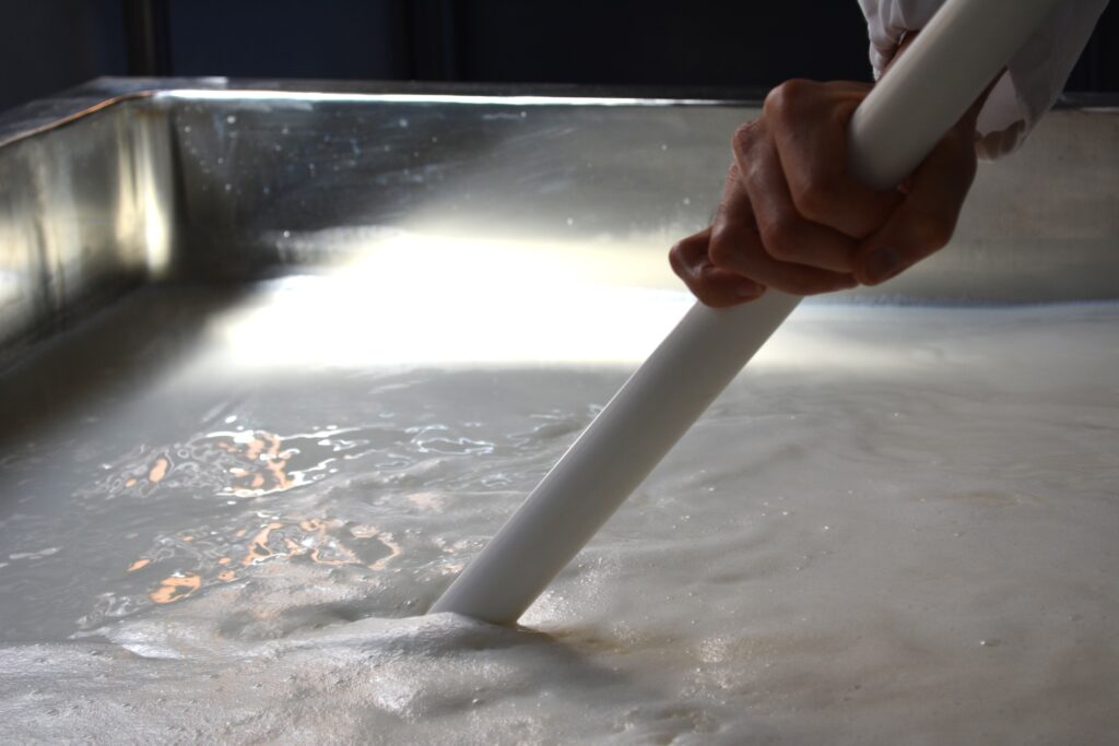 嘉麻市の生乳を使ったチーズ作り